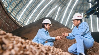 中科煉化摻燒生物質(zhì)燃料 綠色環(huán)保成效明顯