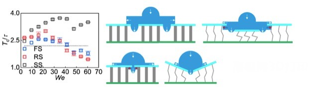 超疏水仿生微結(jié)構(gòu)3.jpg