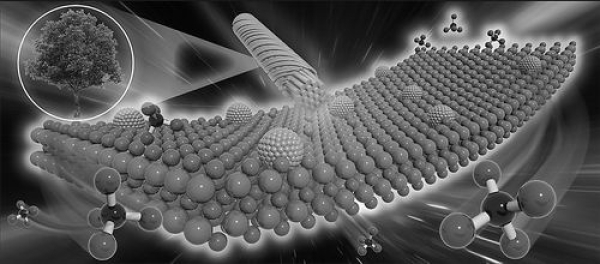 一種新方法可將木質(zhì)纖維素等生物質(zhì)資源在較溫和條件下高選擇性轉(zhuǎn)化為生物甲烷