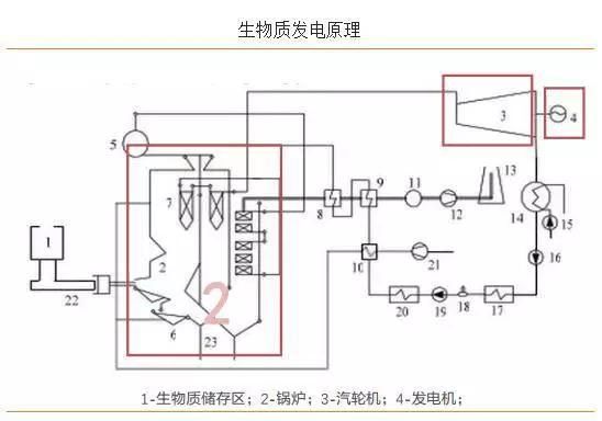 生物質(zhì)發(fā)電憑什么這么受重視