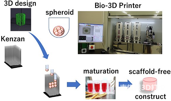3D打印過程的示意圖