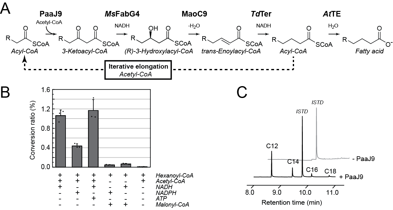 科學家運用細胞與異相催化串聯(lián)實現(xiàn)可再生烯烴合成