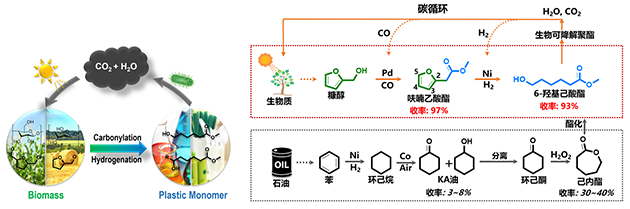圖1.基于生物質資源的羥基羧酸酯合成路線
