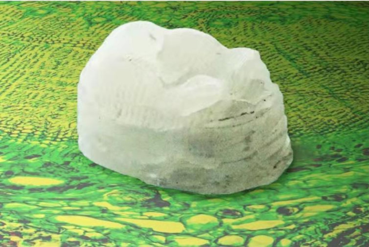 照片顯示的是研究小組用木細(xì)胞壁打印的一顆牙齒
