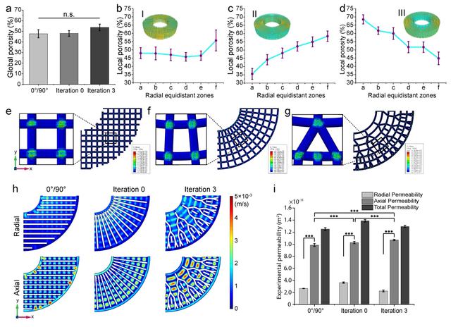 圖3 擠出式3D打印仿生支架的孔隙結構、力學性能和滲透性能