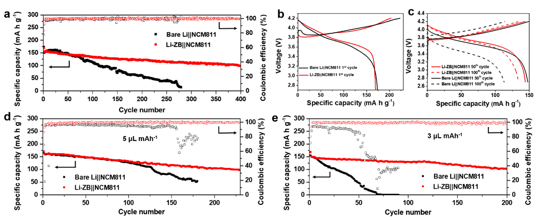 圖5. 以Li-ZB為負(fù)極，NCM811為正極全電池的循環(huán)性能