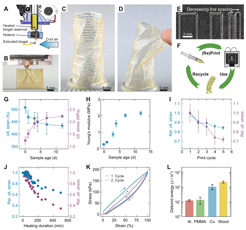 明膠基生物凝膠的3D打印