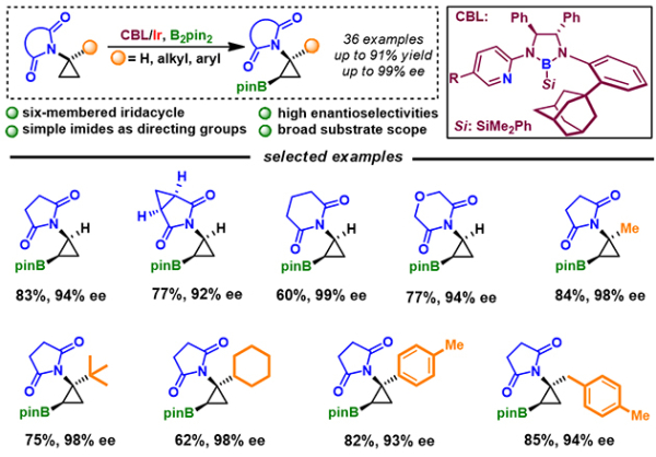 CBL/Ir催化的環(huán)丙胺類化合物的不對(duì)稱C(sp3)-H鍵硼化反應(yīng)