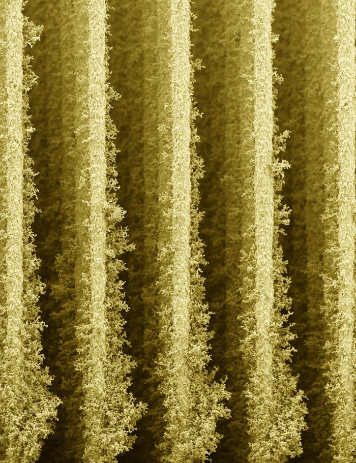 3D打印的納米摩天大樓幫助細菌將陽光轉(zhuǎn)化為電能2.jpg