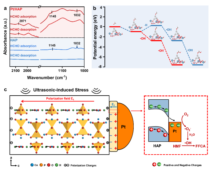 大連理工大學(xué)王敏團(tuán)隊(duì)Applied Catalysis B: Pt/HAP壓電催化HMF到FFCA