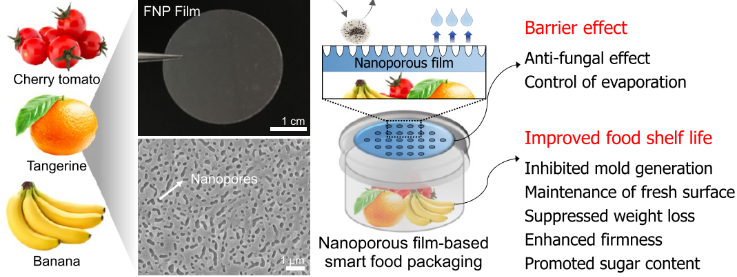 Nano Letters：可生物降解、柔性納米多孔膜用于構(gòu)建食品包裝系統(tǒng)