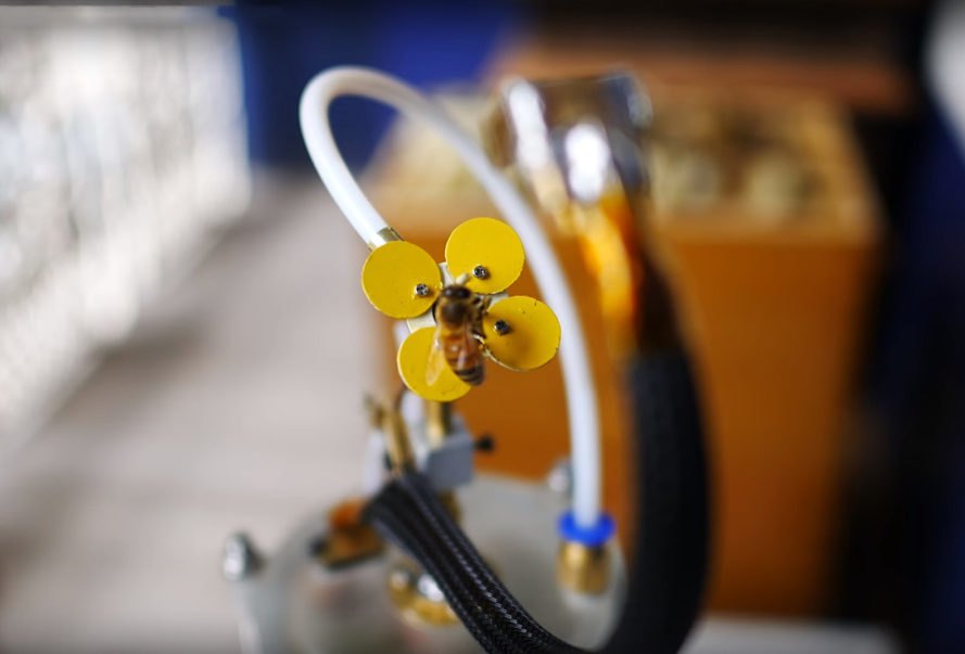 機器人花瓣與真正的植物混合，它具有花粉、花蜜和合成雄蕊，花與馬達和管道相連，將人造花蜜溶液推到花瓣表面