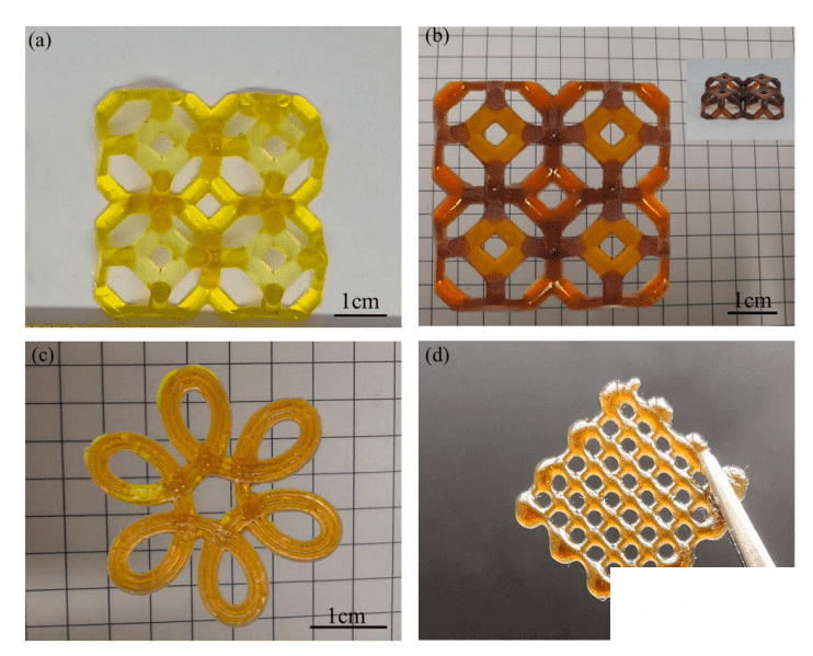 利用DLP和DIW兩種打印方法制造出的3D打印樣品