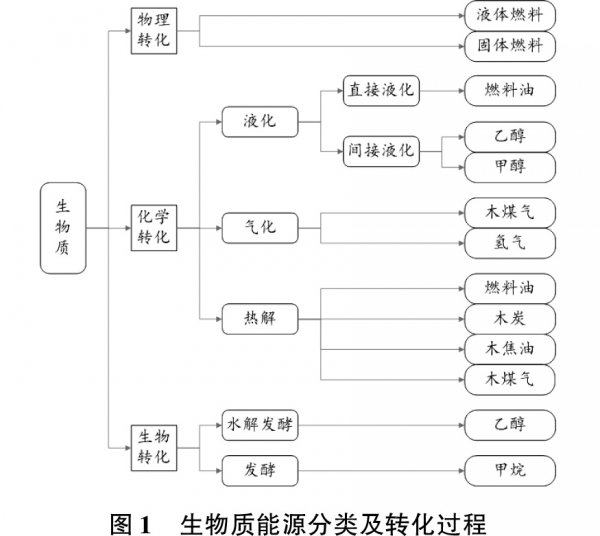 生物質(zhì)能源主要技術(shù)及產(chǎn)品