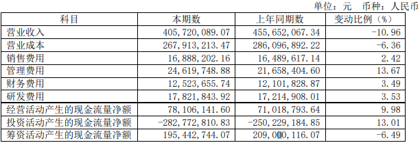 坤彩科技上半年收入下滑11%