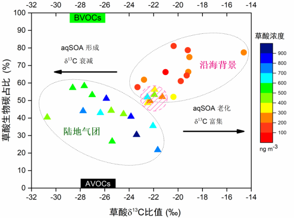 沿海背景和大陸氣團中草酸的二維雙碳同位素（δ13C、Δ14C/Fm）特征