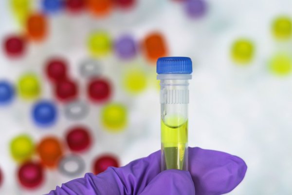 10種生物燃料可以減少60%的溫室氣體排放