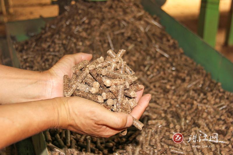 廢枝雜木“變身”環(huán)保生物質(zhì)顆粒燃料