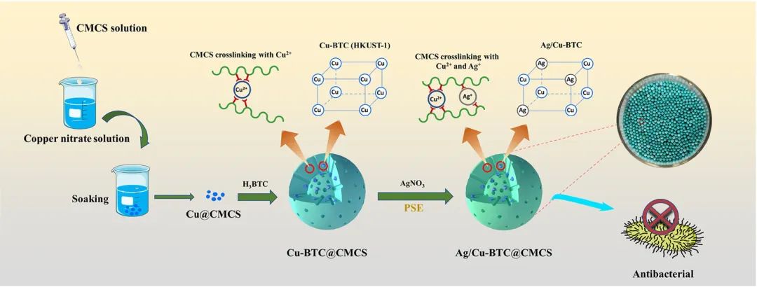 雙金屬復(fù)合材料Ag/Cu-BTC@CMCS的構(gòu)建