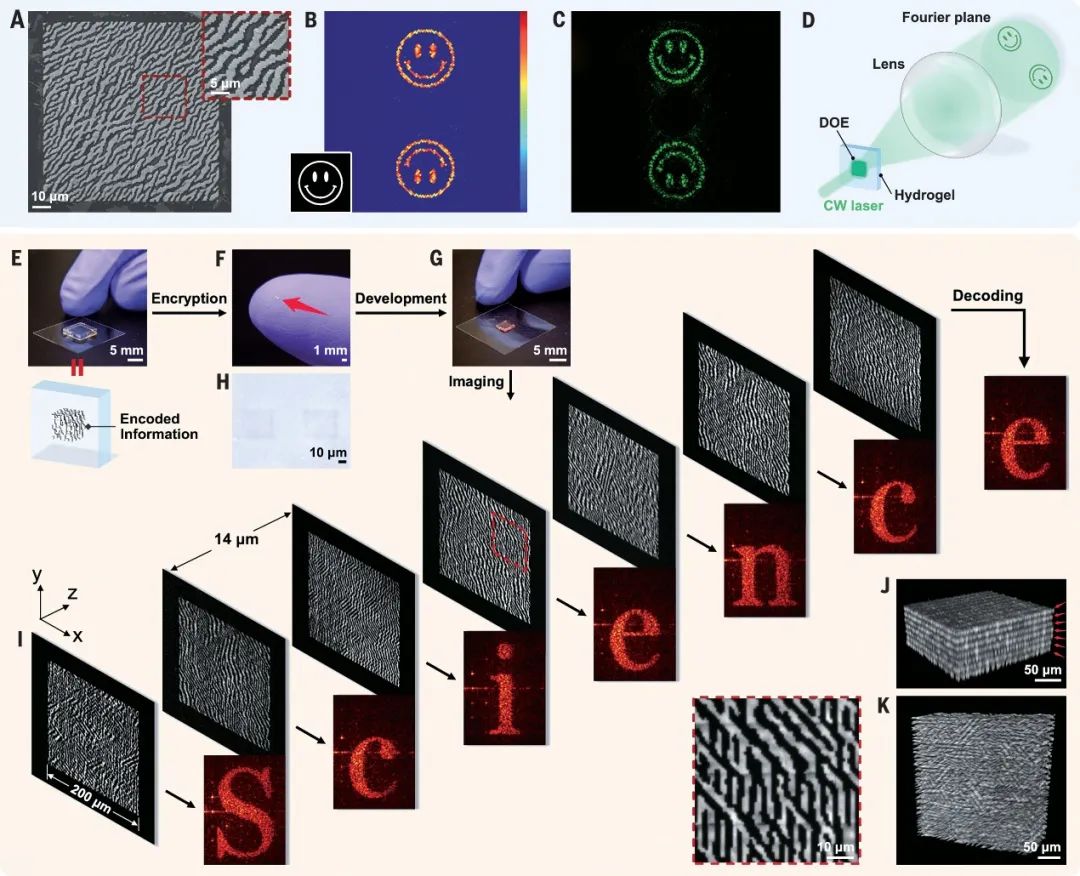 Science：水凝膠作模板！超快、超高分辨率的3D納米制造