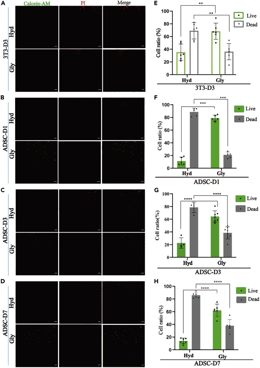 3D打印甘油水凝膠生物墨水模型的維形能力和生物相容性