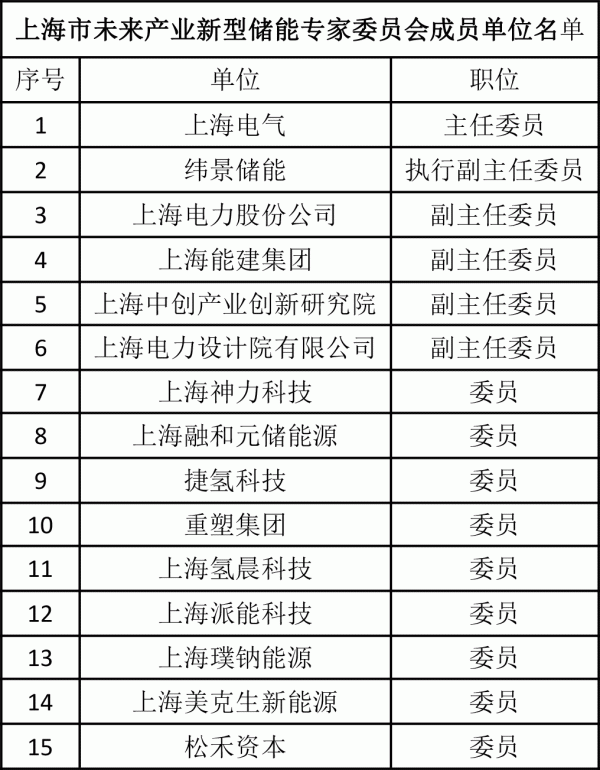 上海市未來產(chǎn)業(yè)新型儲(chǔ)能專家委員會(huì)成立