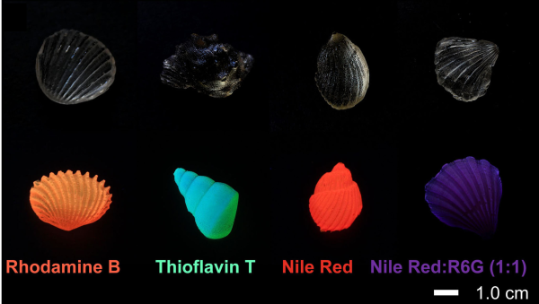 過(guò)程工程所開(kāi)發(fā)出可生物降解及生物循環(huán)再利用的新型玻璃