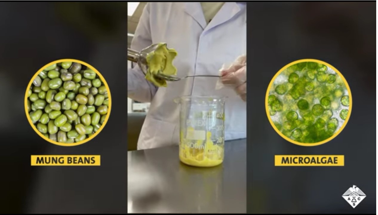3D打印植物基墨水和打印過(guò)程