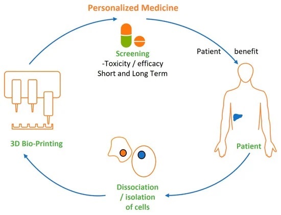 科學家3D生物打印可長期存活的腫瘤模型