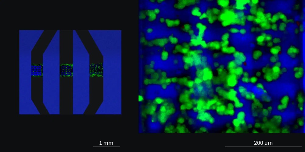 使用NanoOne打印系統(tǒng)在無菌條件下打印多材料微流控芯片