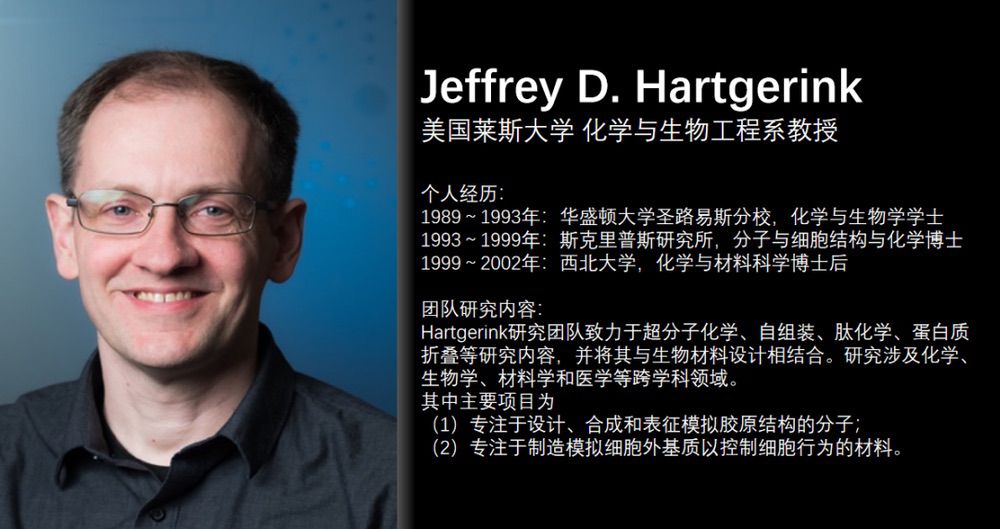一種應用于3D打印的自組裝雙親肽