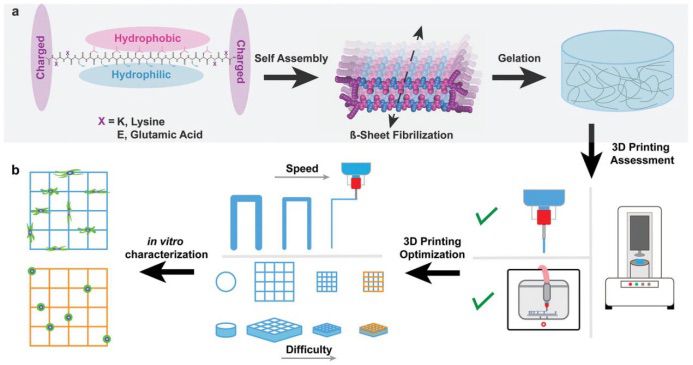 圖1：MDPs的組裝和3D打印原理示意圖